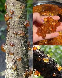 Most people underestimate this resin, until they find out its power and its price.